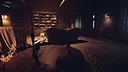 Suspense: Madman's Dreams Screenshot 12