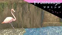 Birds and Nuts Screenshot 2