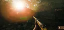 Their Land - Golden Rifle Skin Screenshot 1