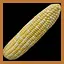 Corn icon