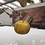Museum Master icon