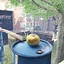 Park Master icon