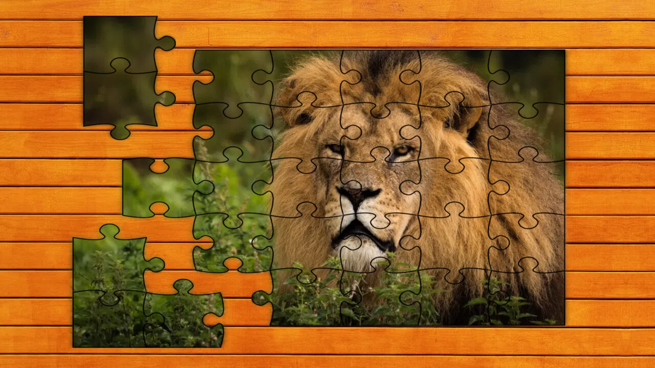 Big Cat Jigsaw Quest - Expansion Pack 1 Screenshot 0