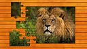 Big Cat Jigsaw Quest - Expansion Pack 1 Screenshot 0