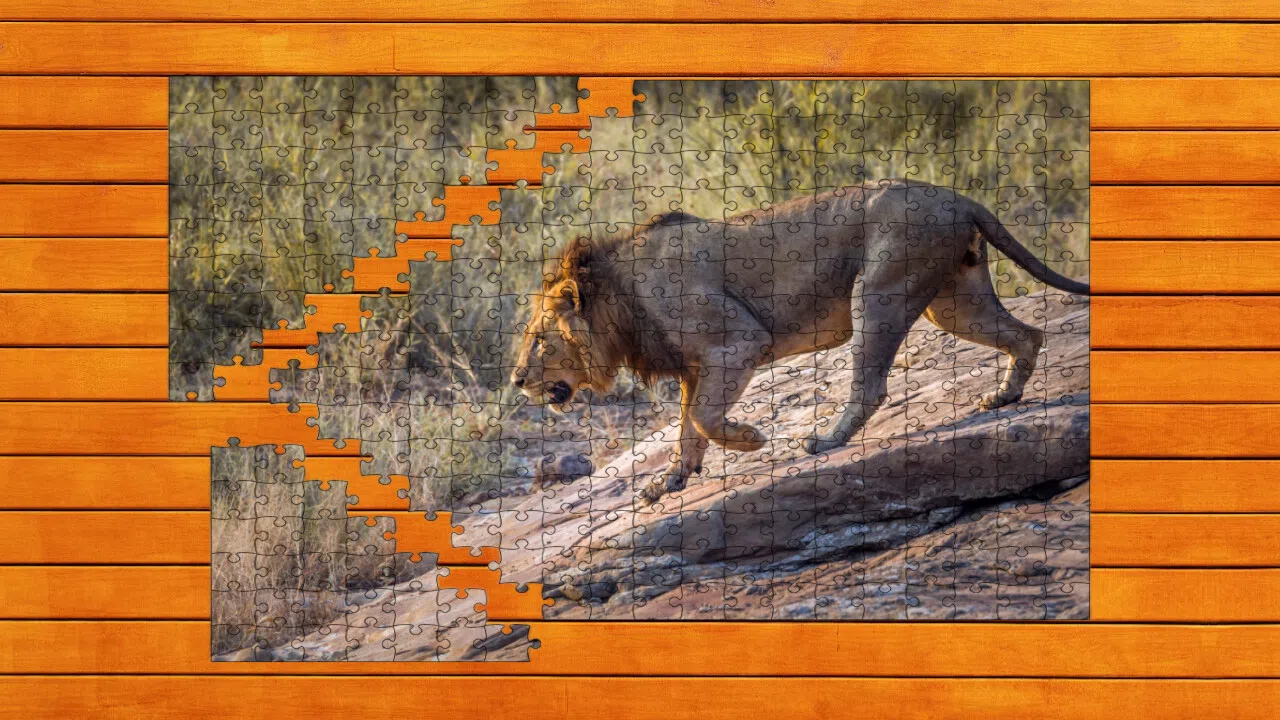 Big Cat Jigsaw Quest - Expansion Pack 1 Screenshot 4