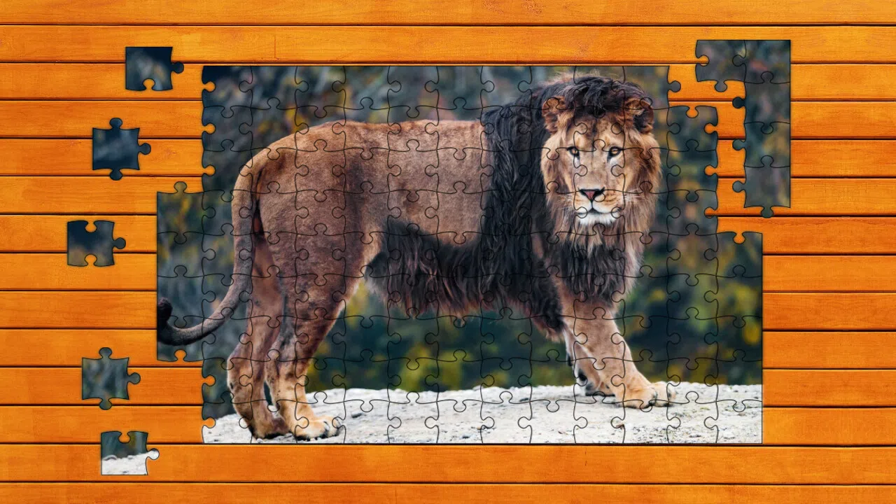 Big Cat Jigsaw Quest - Expansion Pack 1 Screenshot 1