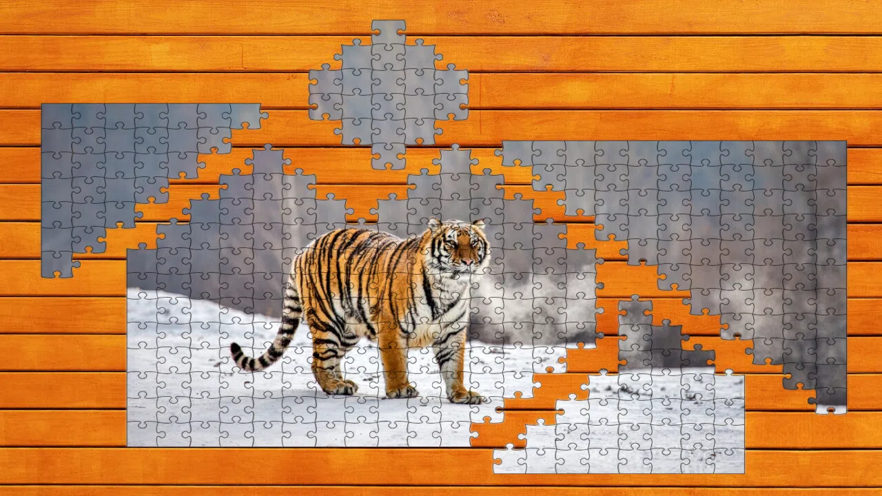 Big Cat Jigsaw Quest - Expansion Pack 1 Screenshot 3