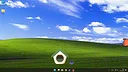 Screen Cat Screenshot 3
