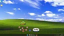 Screen Cat Screenshot 4