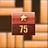 Beginner 75