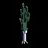 This bushy leek, my saviour!