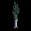 This bushy leek, my saviour! icon