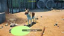 SYM Shepherd Screenshot 0