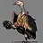 Vulture