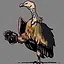 Vulture icon