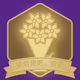 嫁给我吧,自豪 icon