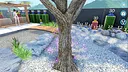 Zen Beauty Screenshot 3