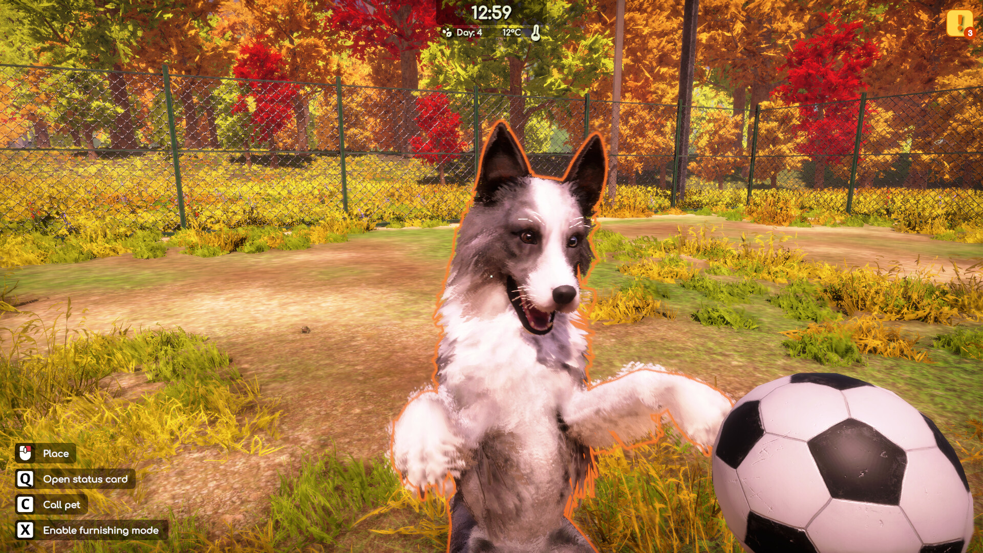 Animal Shelter 2 Demo Screenshot 16