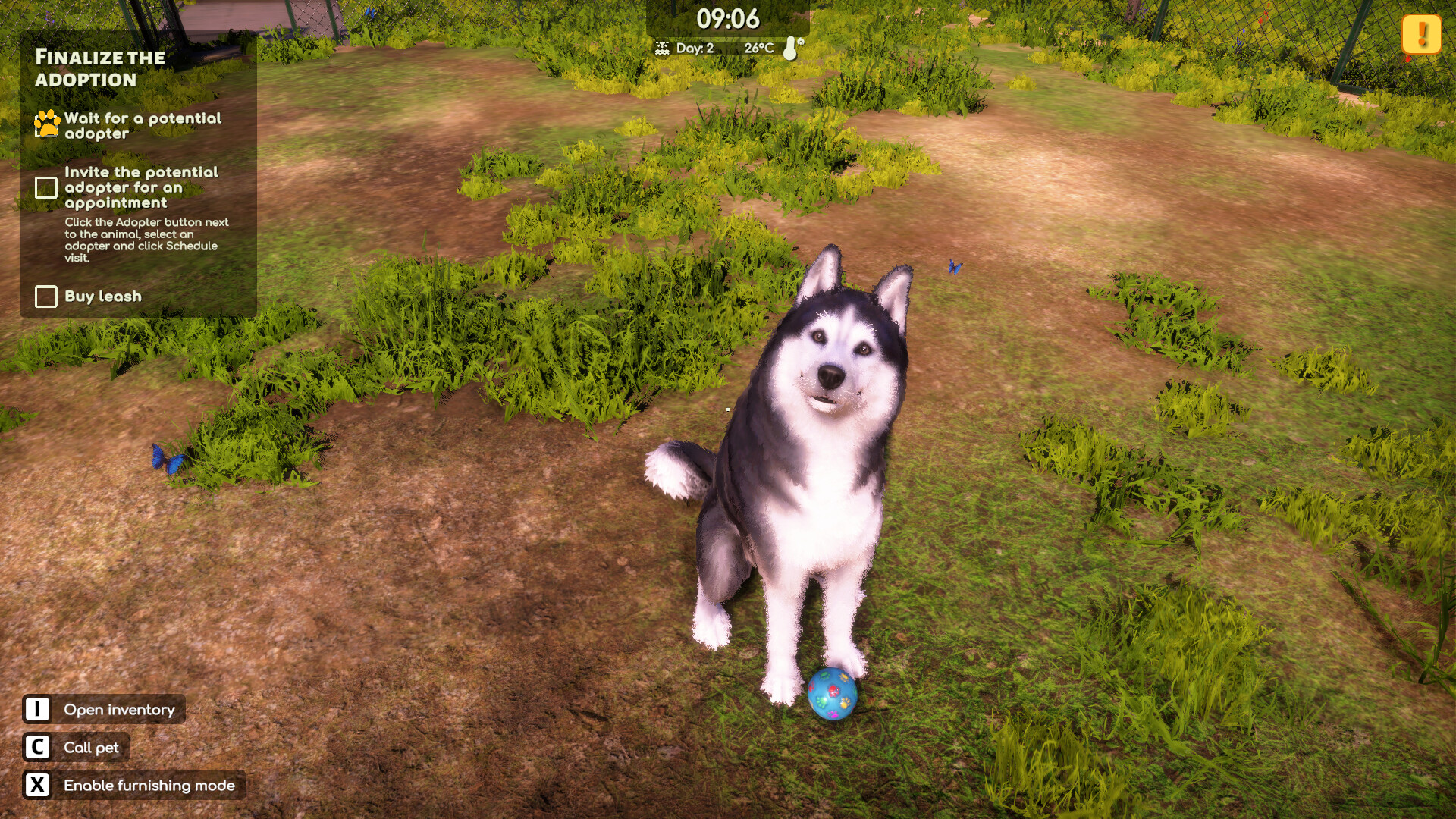Animal Shelter 2 Demo Screenshot 13