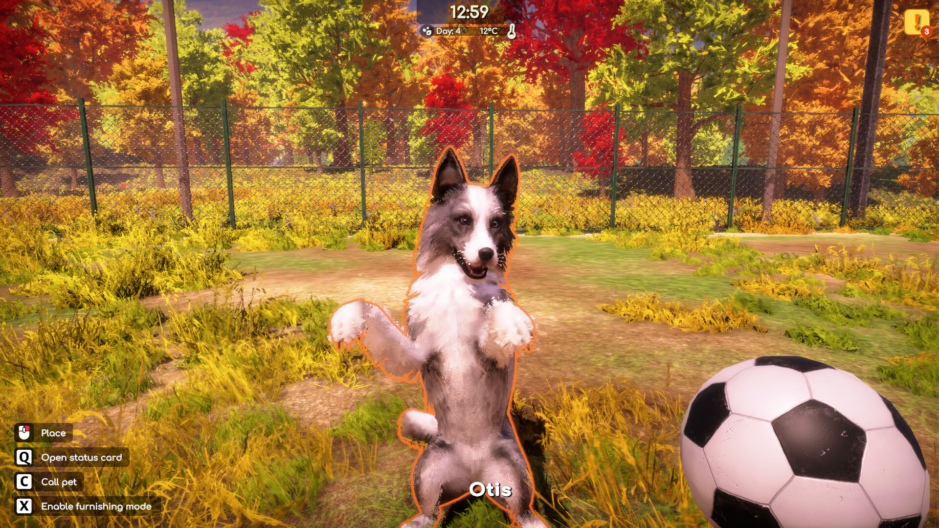 Animal Shelter 2 Demo Screenshot 6