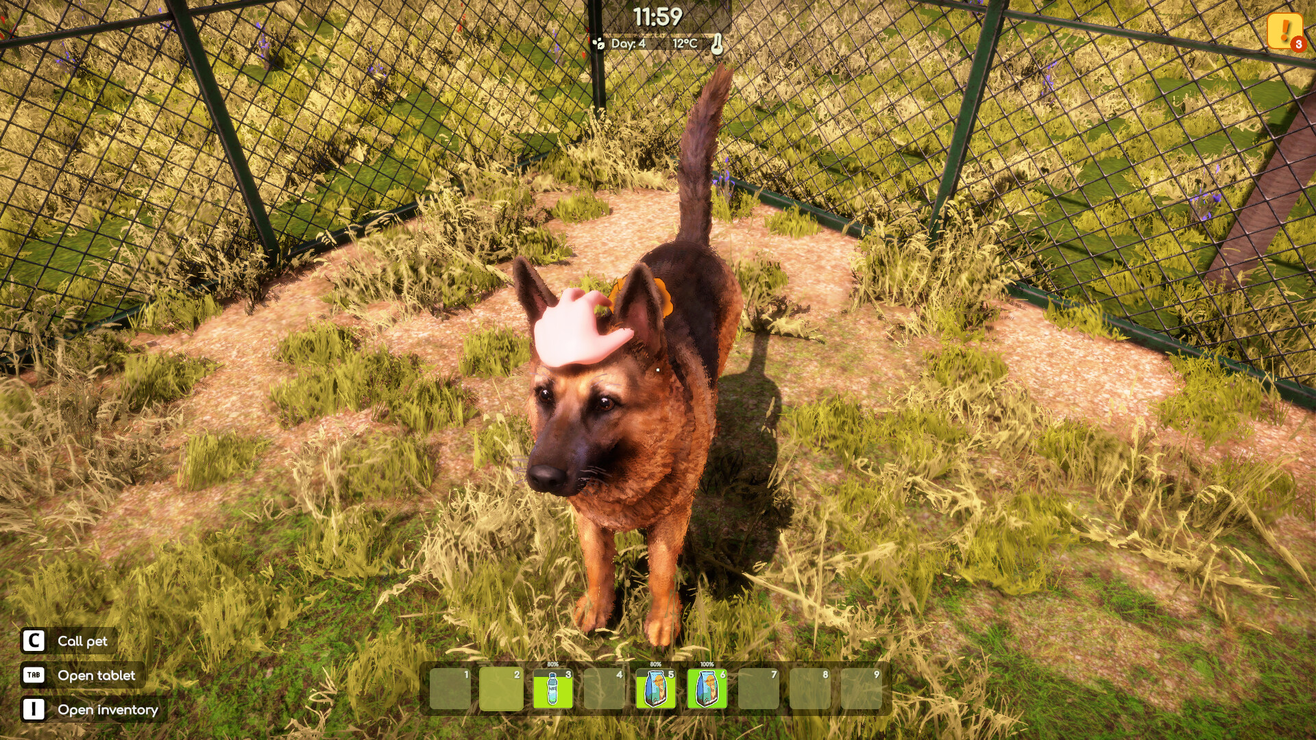 Animal Shelter 2 Demo Screenshot 14