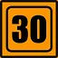 LEVEL 30 icon