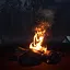 Only you can prevent forest fires icon
