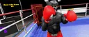 ARVIS Punch II: Krampus Screenshot 1