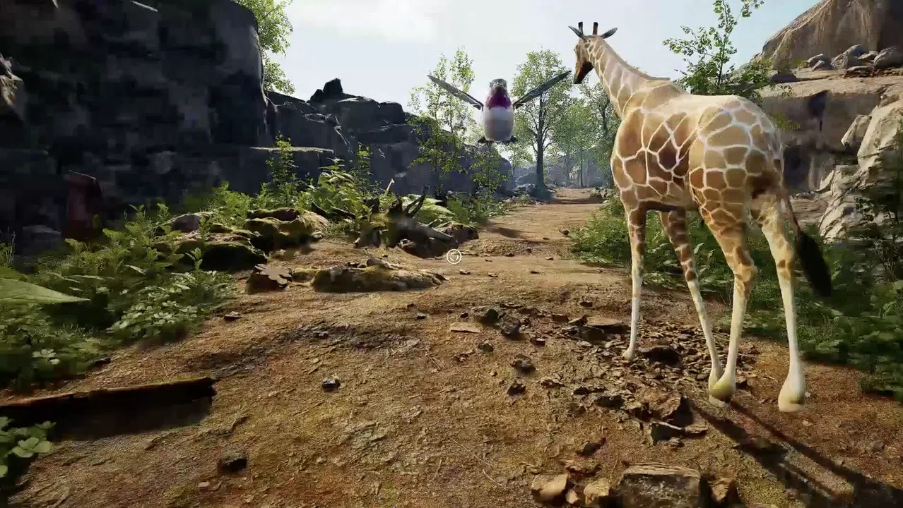 NOAH'S VRK Screenshot 3