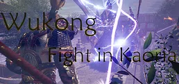 Wukong Fight in Kaoria