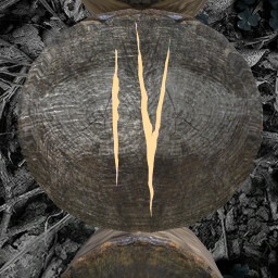 Cabin (Nightmare) icon