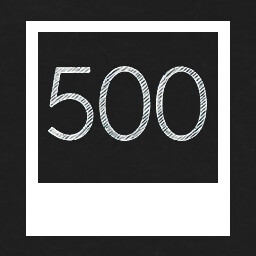 Professional photographer icon