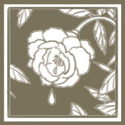 温柔的读者 icon