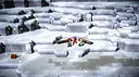 Battle Sablemon! Screenshot 10