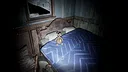 Annina - Farm Screenshot 4
