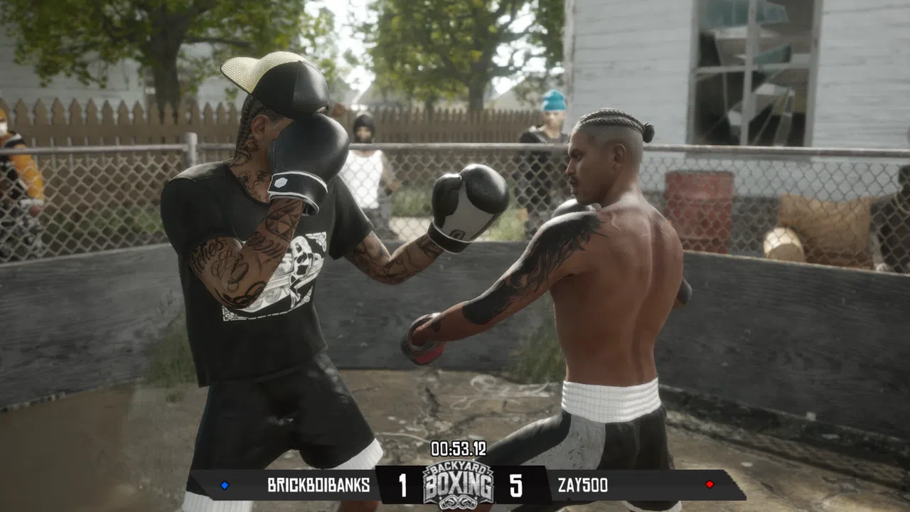Backyard Boxing Screenshot 0