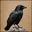 Persistence icon