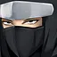 Assassin's Shadows icon