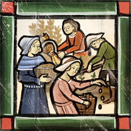 Survive the first year icon