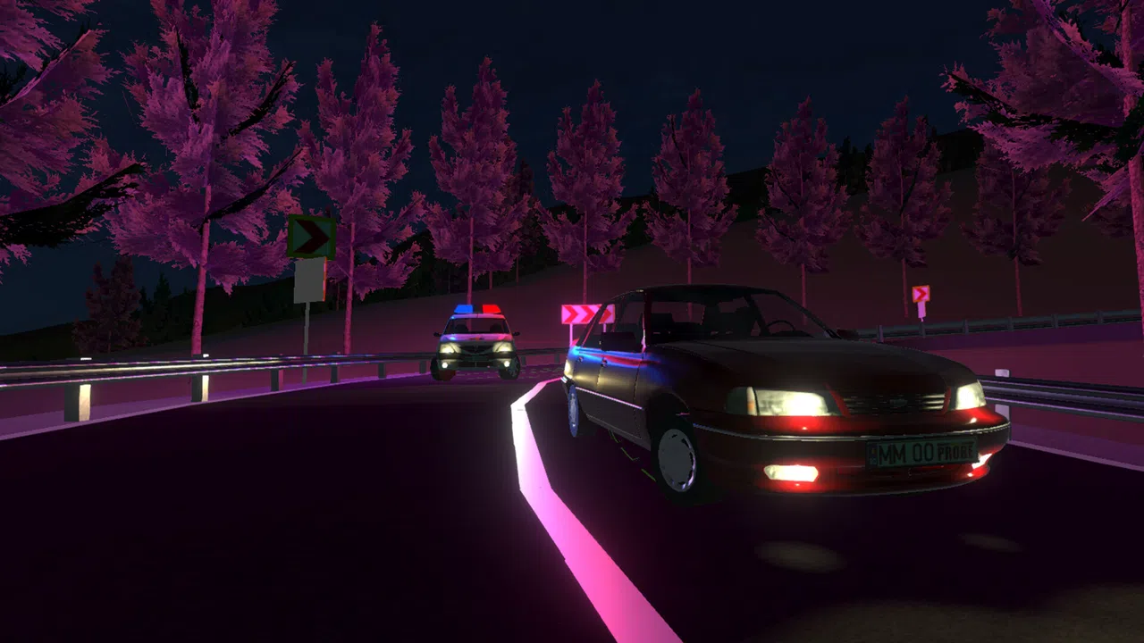 Transylvania Drift Screenshot 7