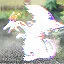 RPG for Everyone icon