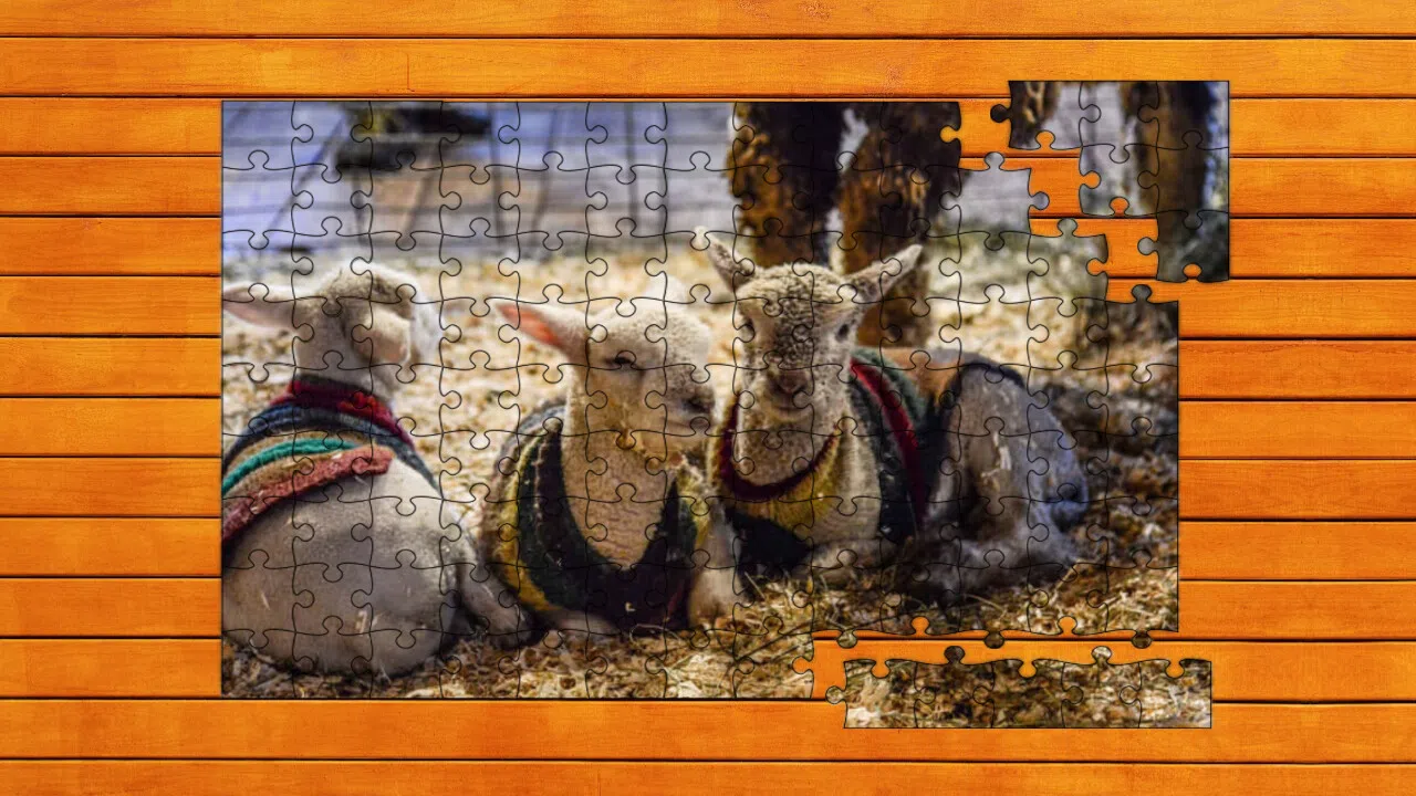 Farmyard Pals Jigsaw Puzzles Screenshot 3
