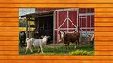 Farmyard Pals Jigsaw Puzzles Screenshot 1