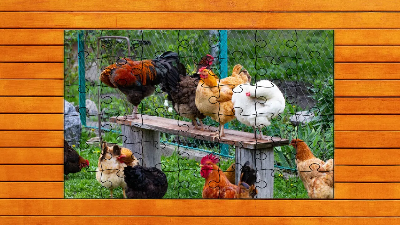 Farmyard Pals Jigsaw Puzzles Screenshot 5