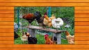Farmyard Pals Jigsaw Puzzles Screenshot 5