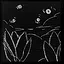 Deceiving Lights icon