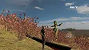 BlackLaceAssassins Screenshot 1