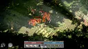 Essence Hunters Screenshot 2