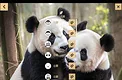 Chinese Chess - Xiangqi Screenshot 5