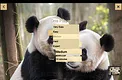 Chinese Chess - Xiangqi Screenshot 4
